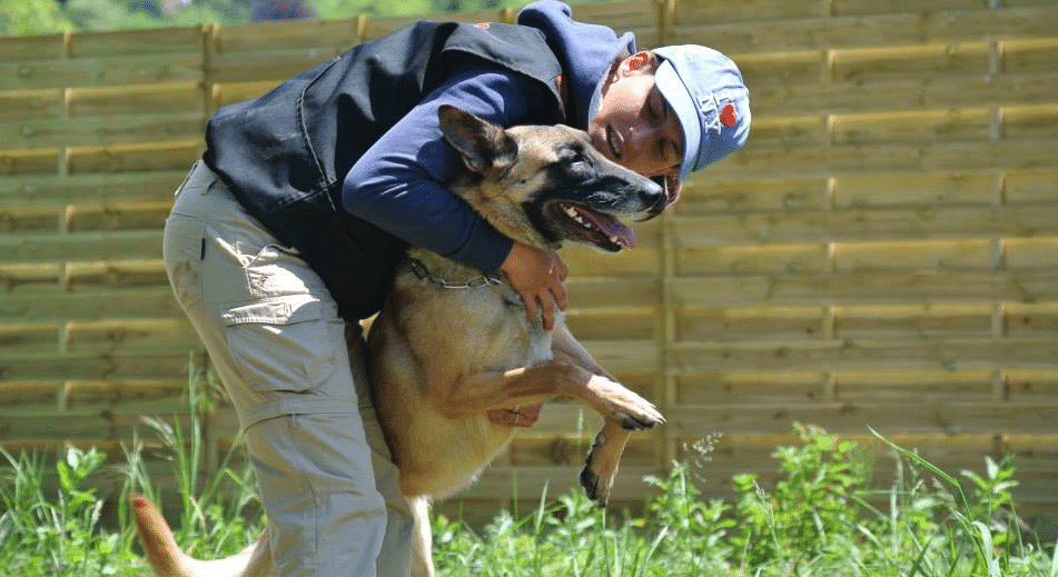 dressage chien haute savoie